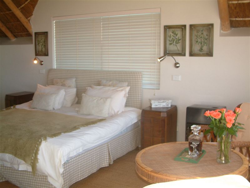 Somewhere 2 Rent South Africa Cape St Francis Self Catering
